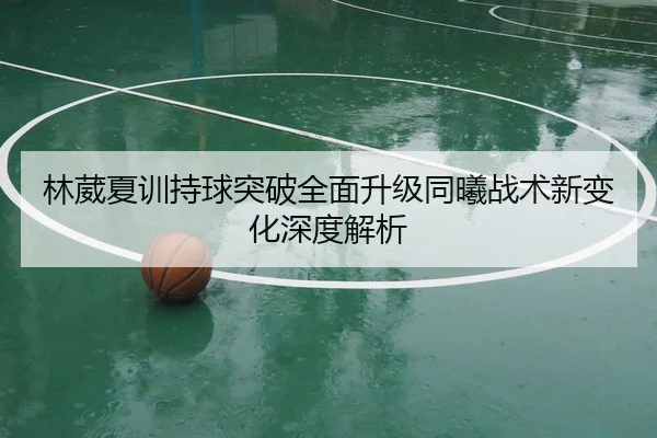 林葳夏训持球突破全面升级同曦战术新变化深度解析